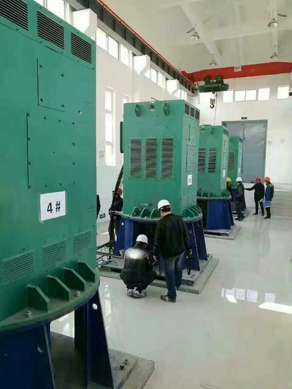 绥江某污水处理厂使用我厂的立式高压电机安装现场